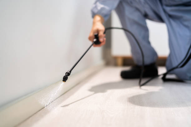 Licensed Termite Control service in Sunset, UT - Nex Pest Control