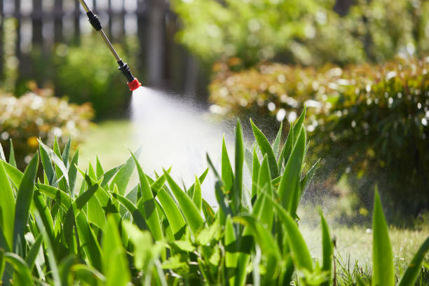 24/7 Emergency Termite Control experts in Sunset, UT