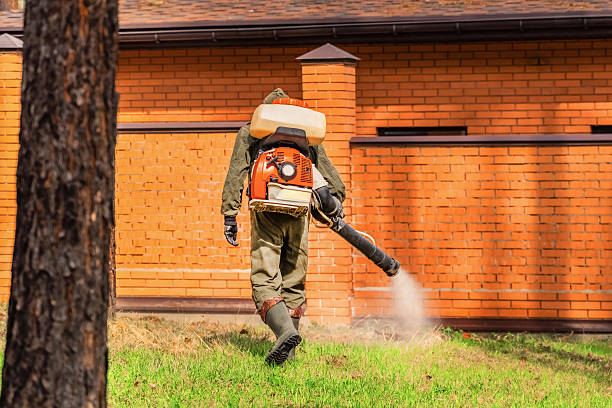 Top rated local Termite Control specialists in Sunset, UT